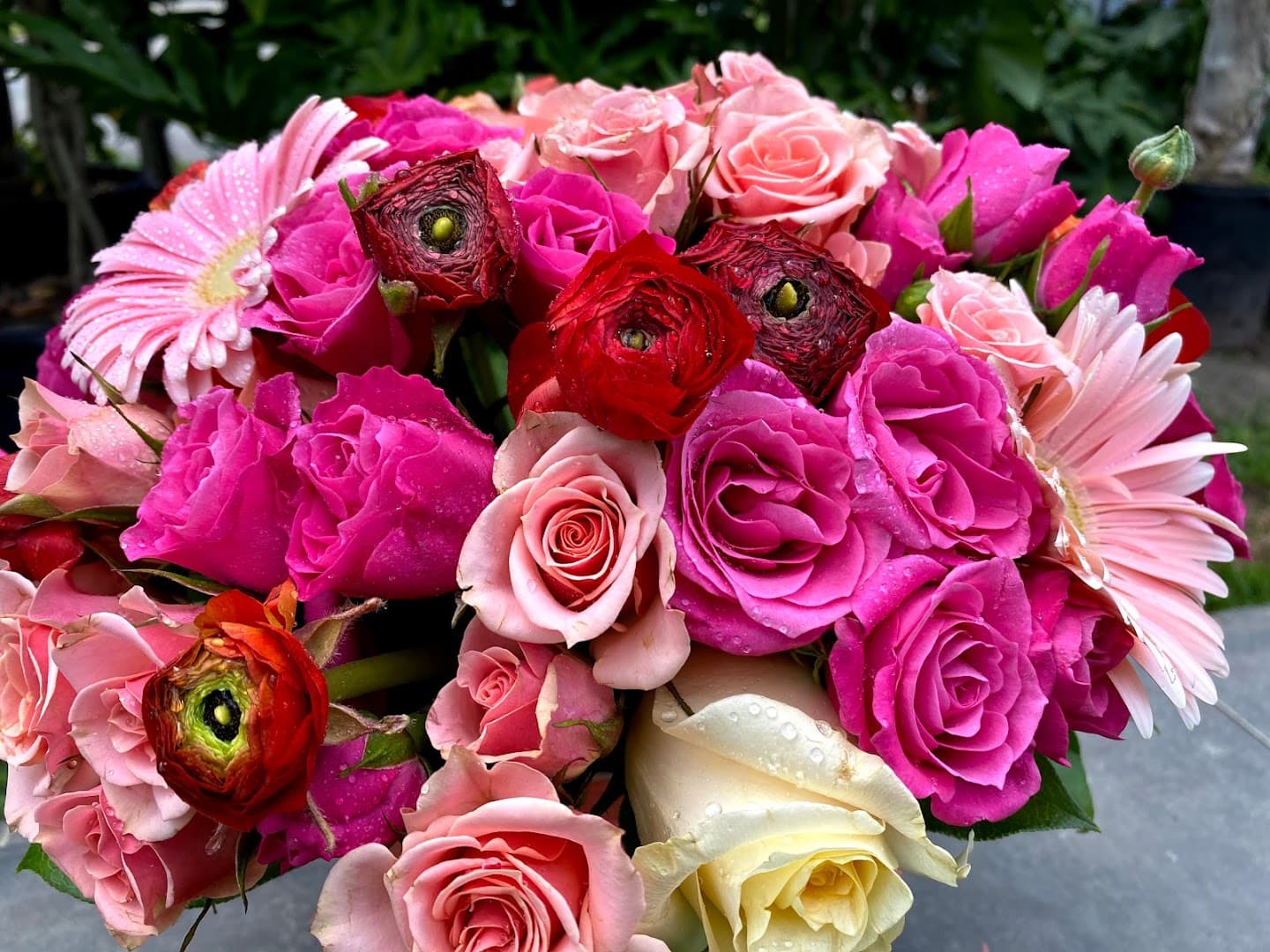 Tanglewood Flowers & Garden - Image 1