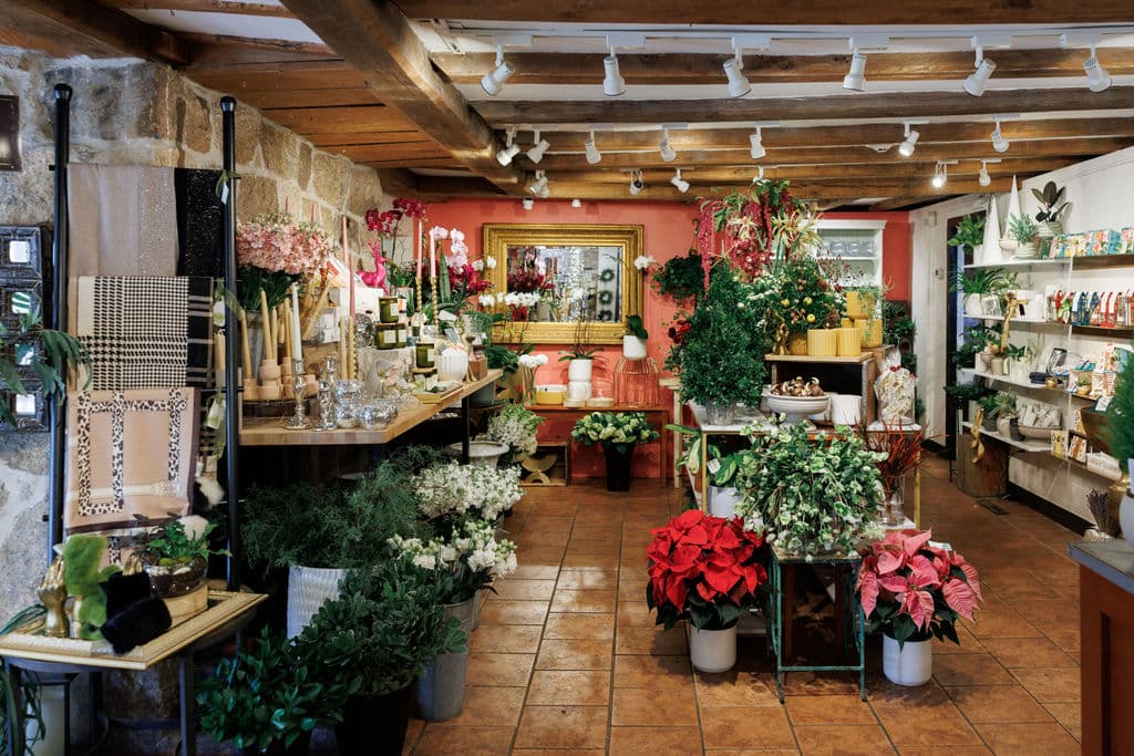 Studio Flowers - Image 1