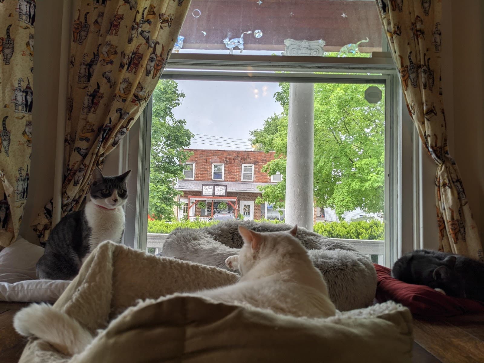 CJ's Floral & Gift Shop - Image 1