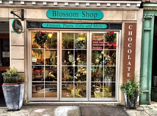 BLOSSOM SHOP - Image 1