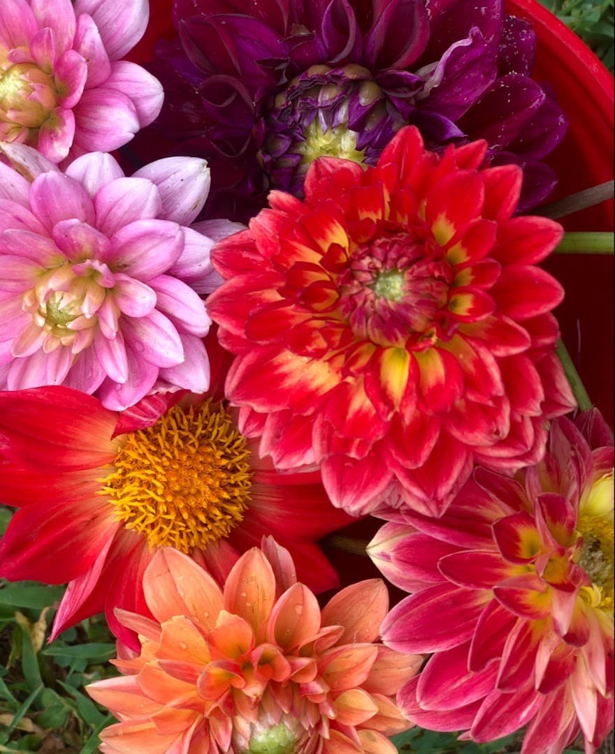 Derby Mill Farm - Image 1