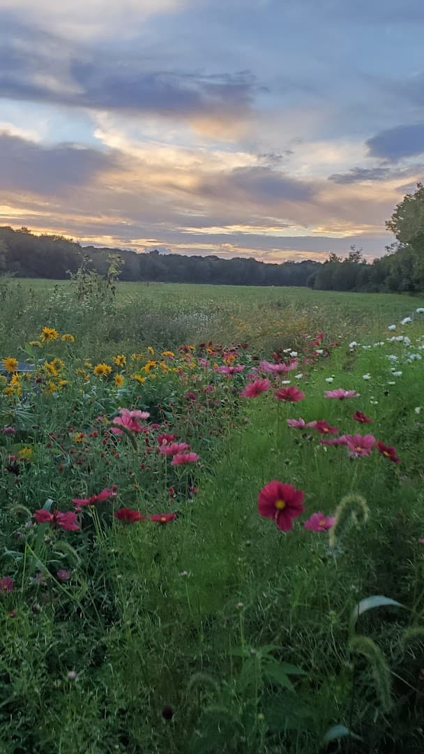 That Bloomin Farm - Image 1