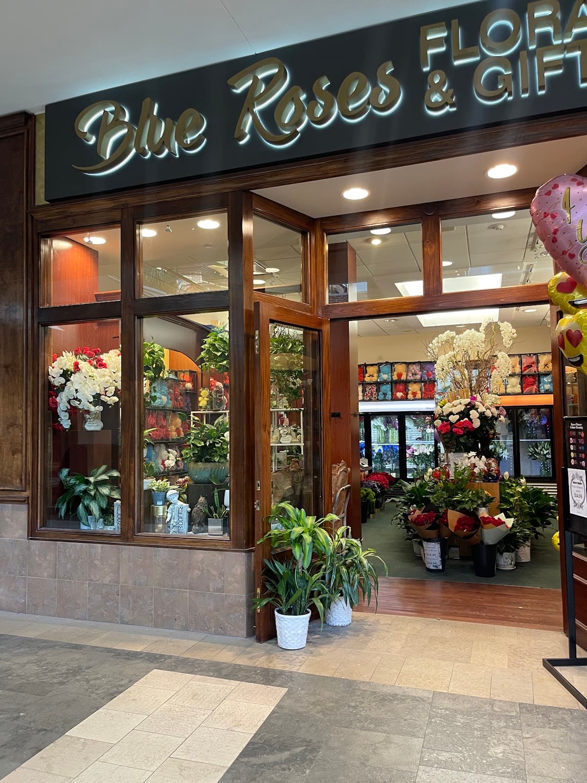 Blue Roses - Image 1