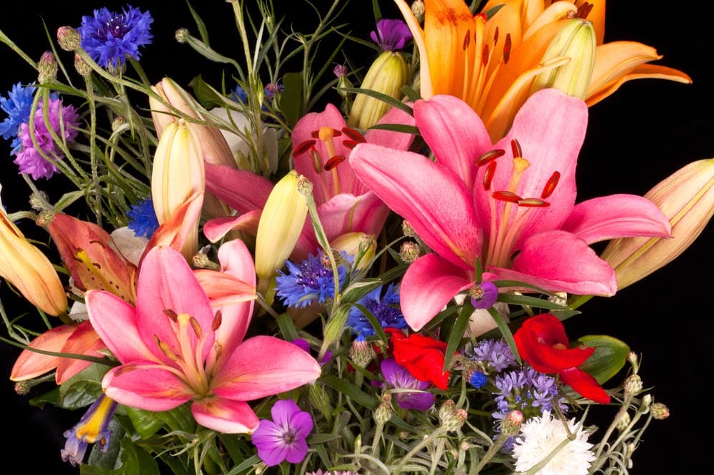 L A's Florist - Image 1