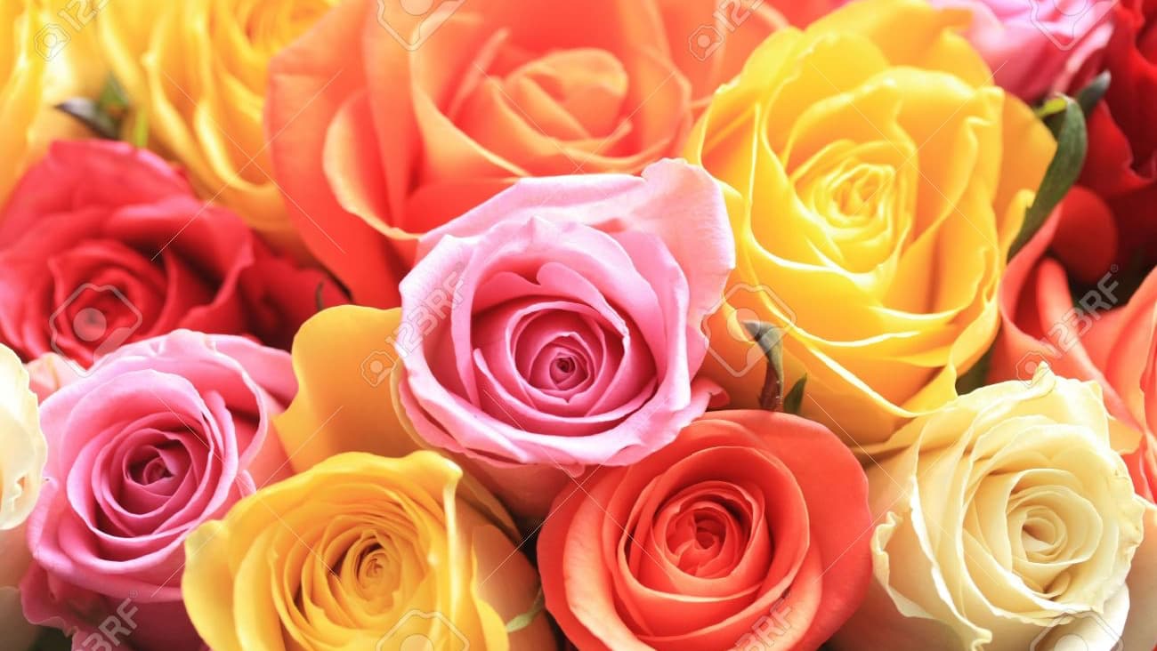 Waterville Florist And Formal Wear - Image 1