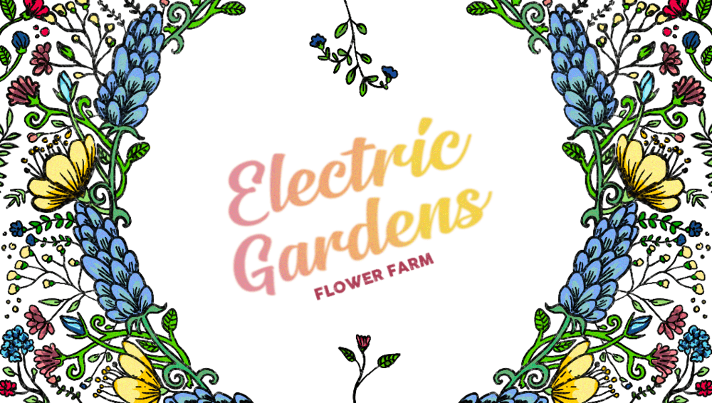 Electric Gardens Flower Farm - Image 1