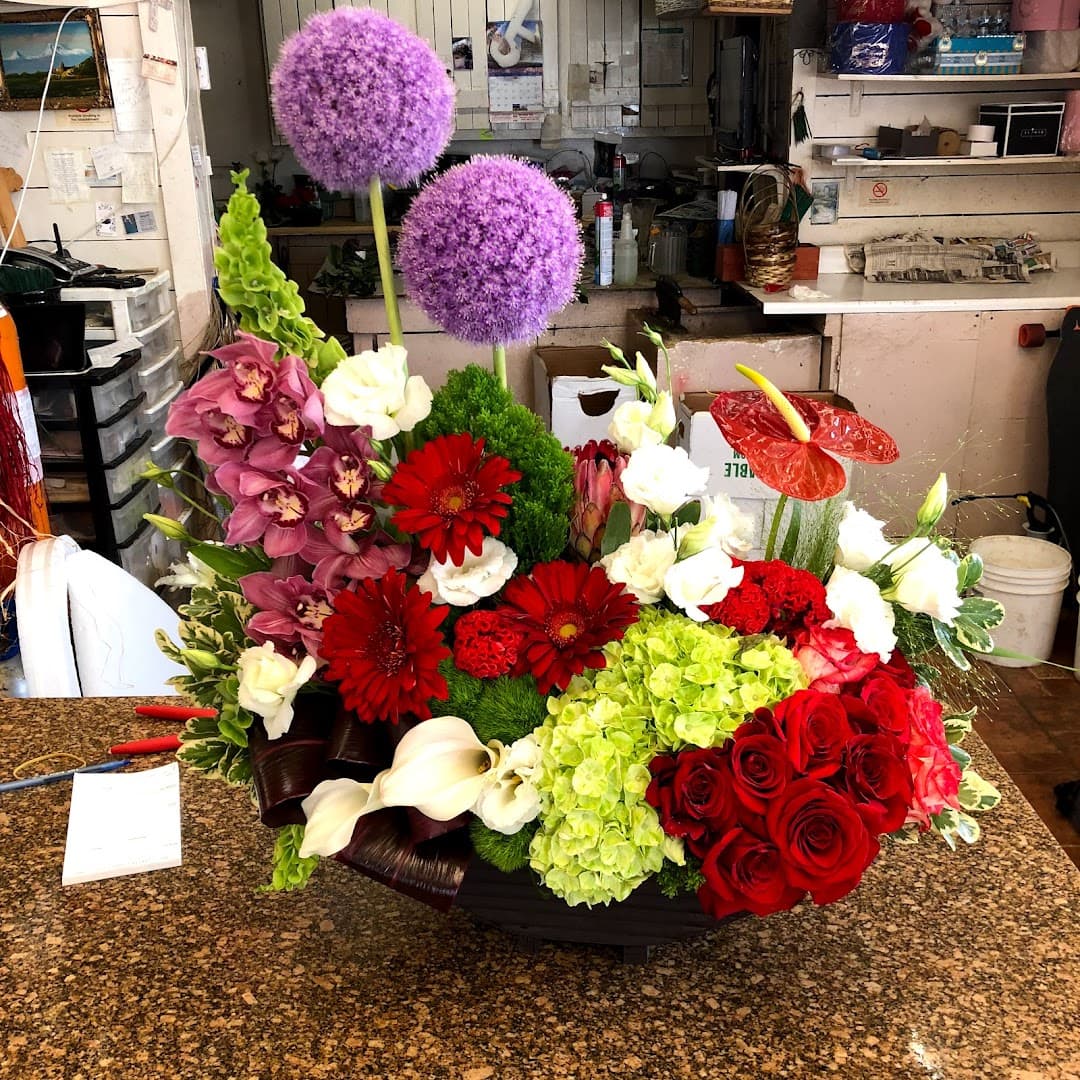 Hollywood Flowers - Image 1