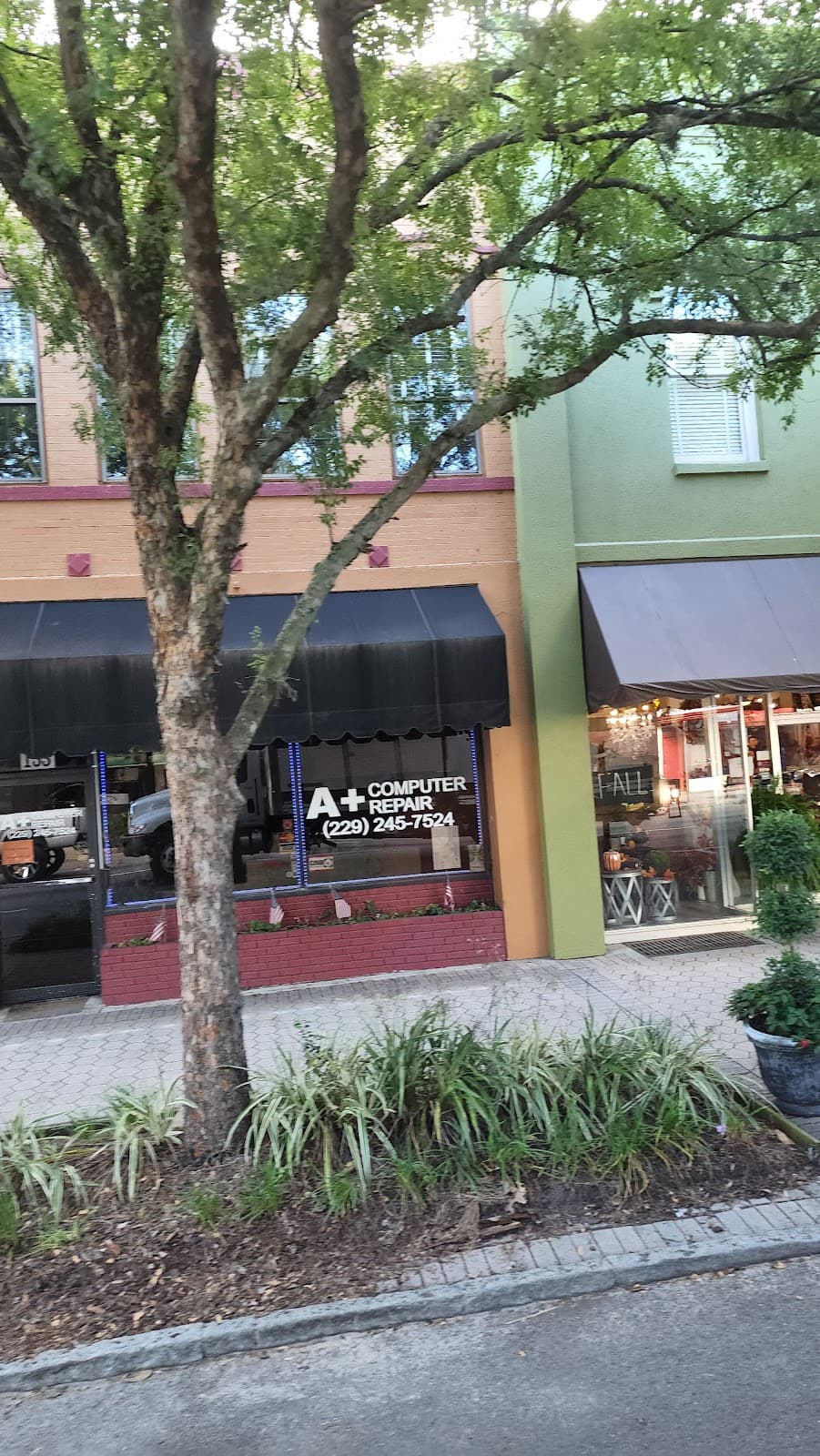 The Flower Gallery - Image 1