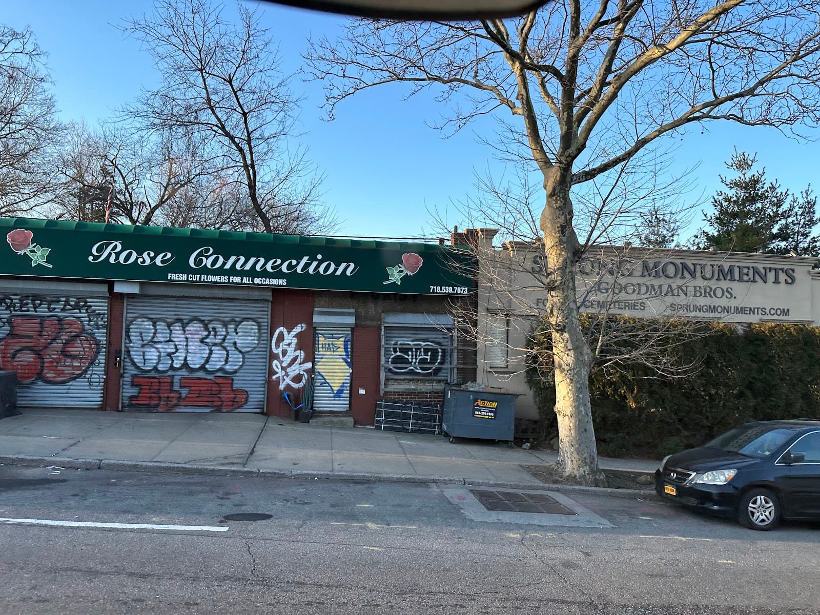 Rose Connection - Image 1