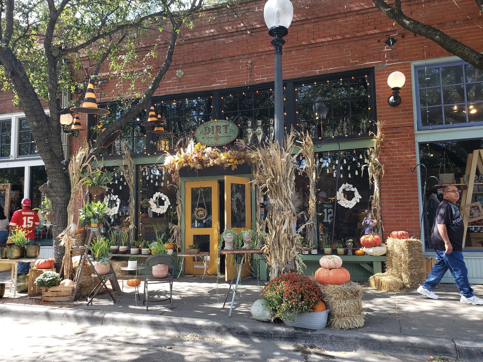 DIRT Flowers - Image 1