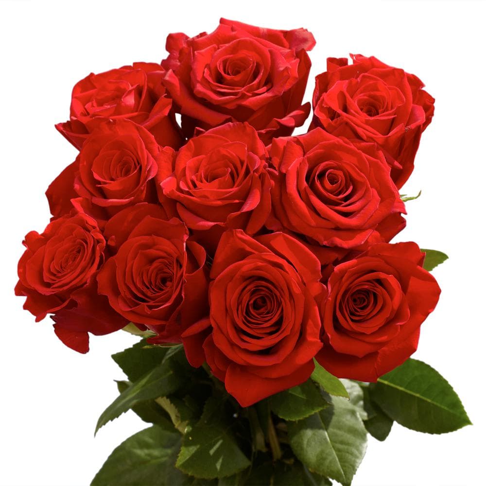 Georgia State Floral Distributors - Image 1