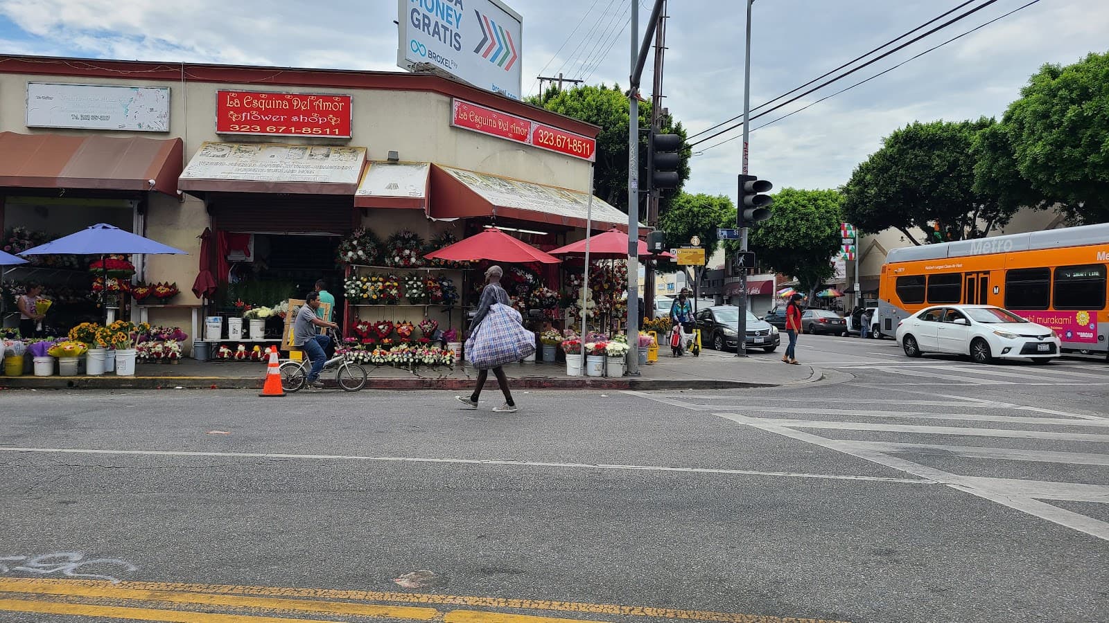 Paraiso floral - Image 1