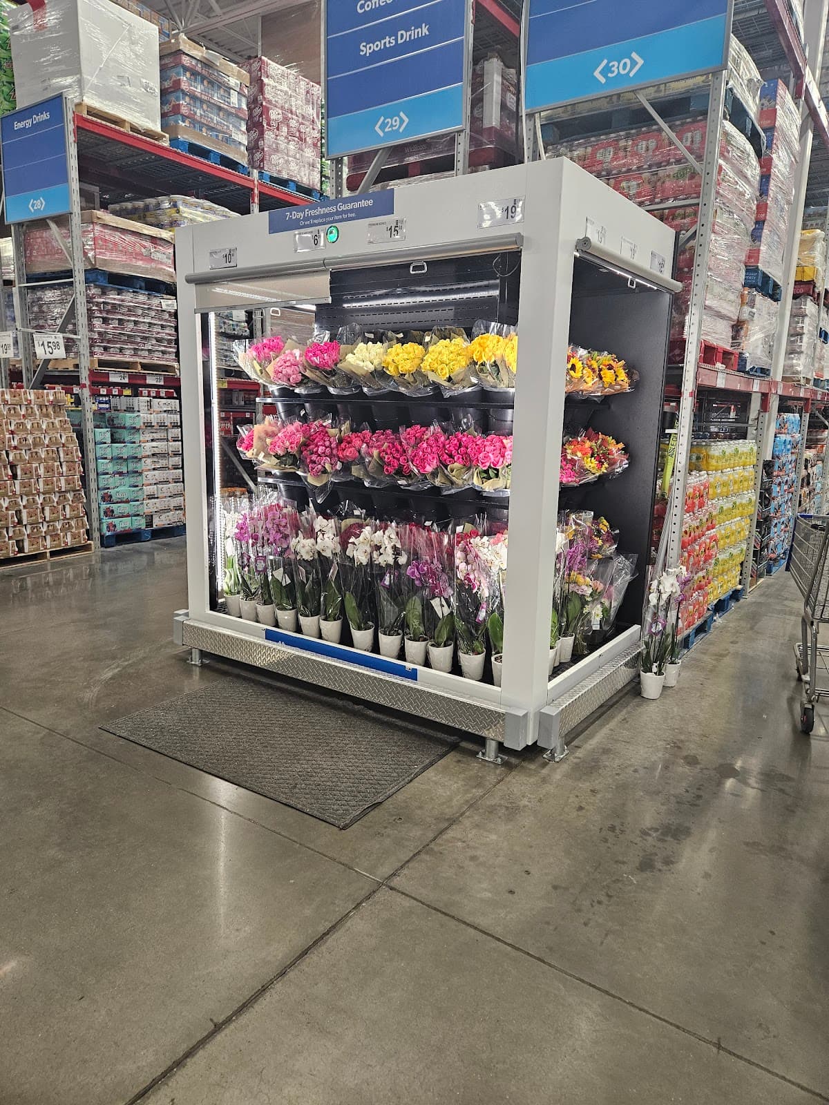 Sam's Club Floral - Image 1