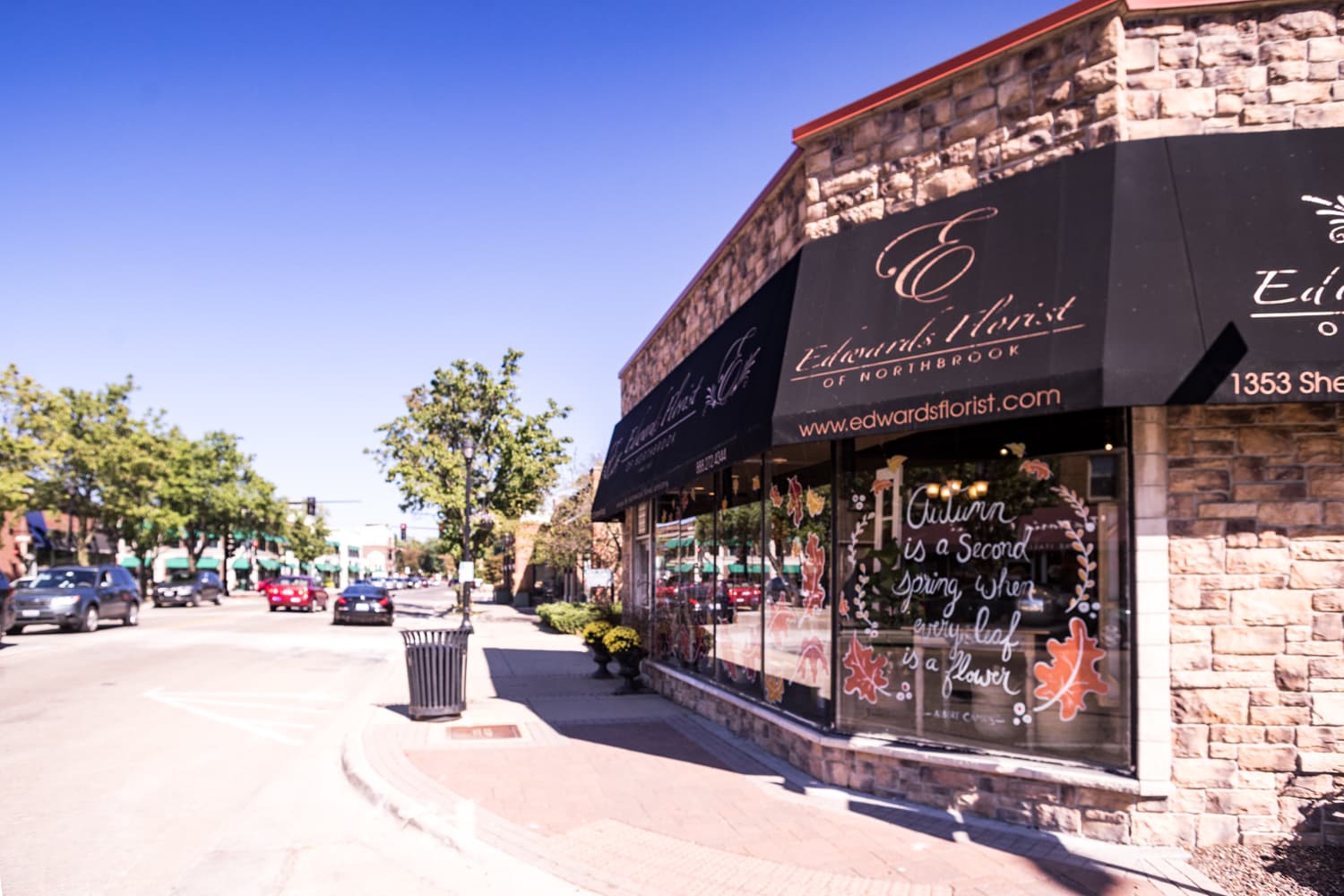 Edwards Florist of Northbrook - Image 1