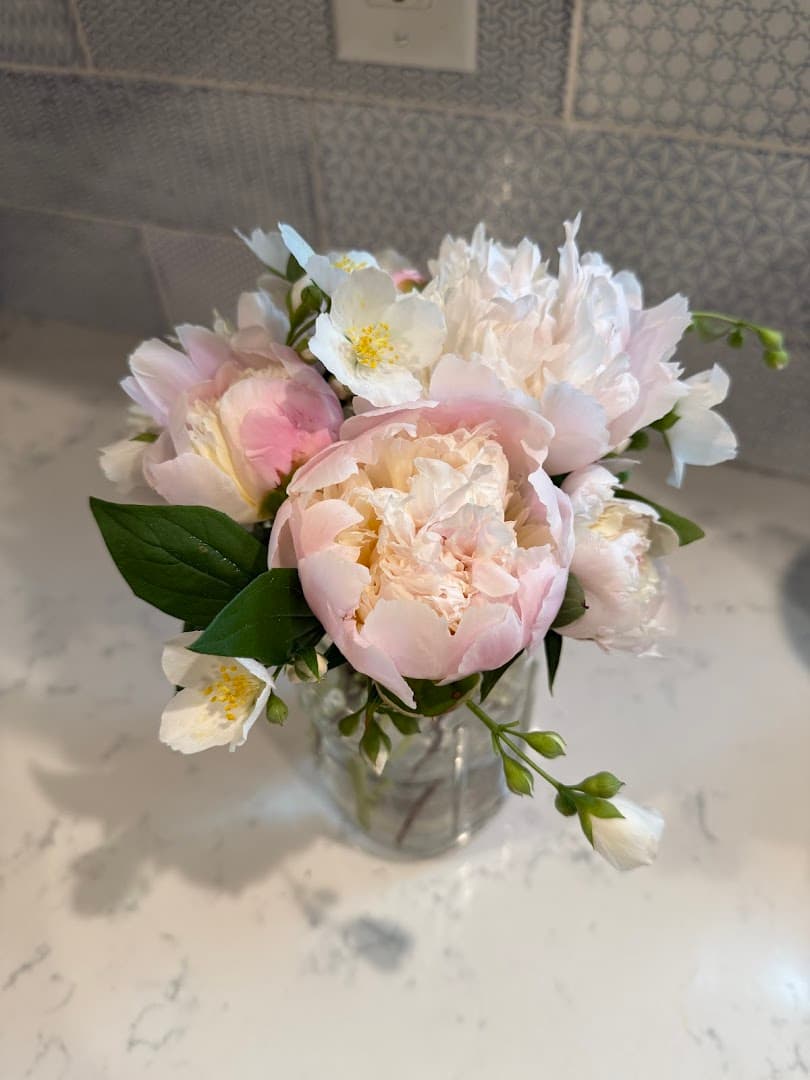 Town Limit Gardens - Image 1