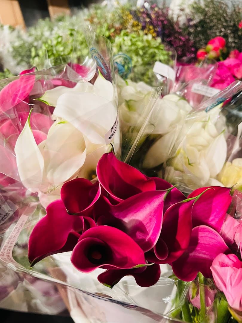 Nelson's Blooms - Image 1