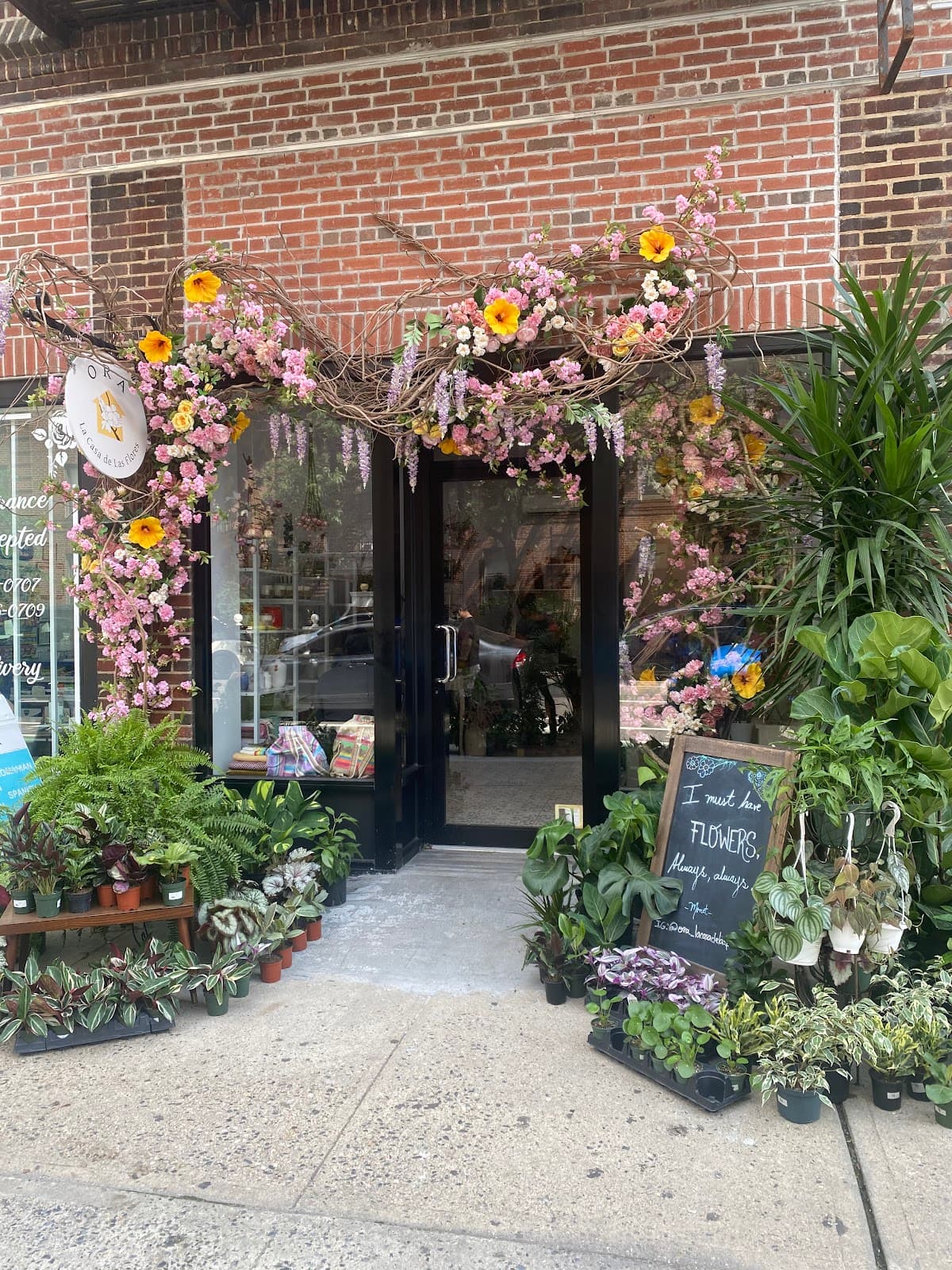 Ora La Casa De Las Flores - Image 1