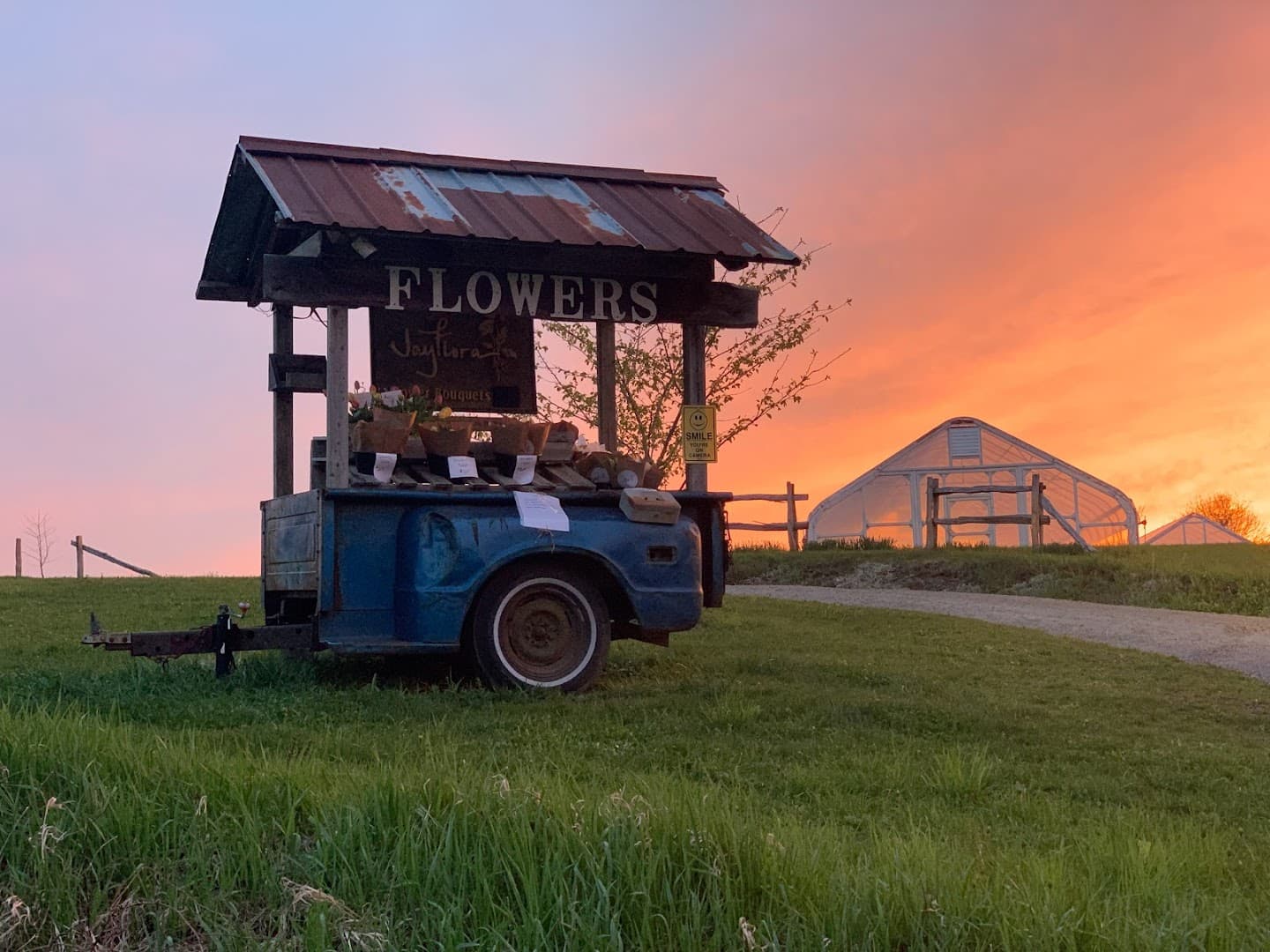 Jayflora Designs - Image 1