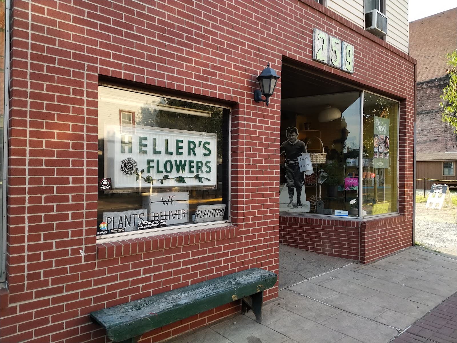 Heller's Flowers - Image 1