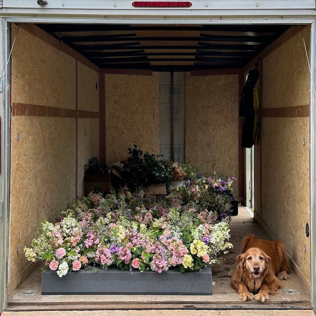 Whistle Punk Flowers - Image 1