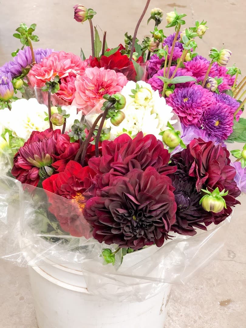 Lone Star Flower Market - Image 1