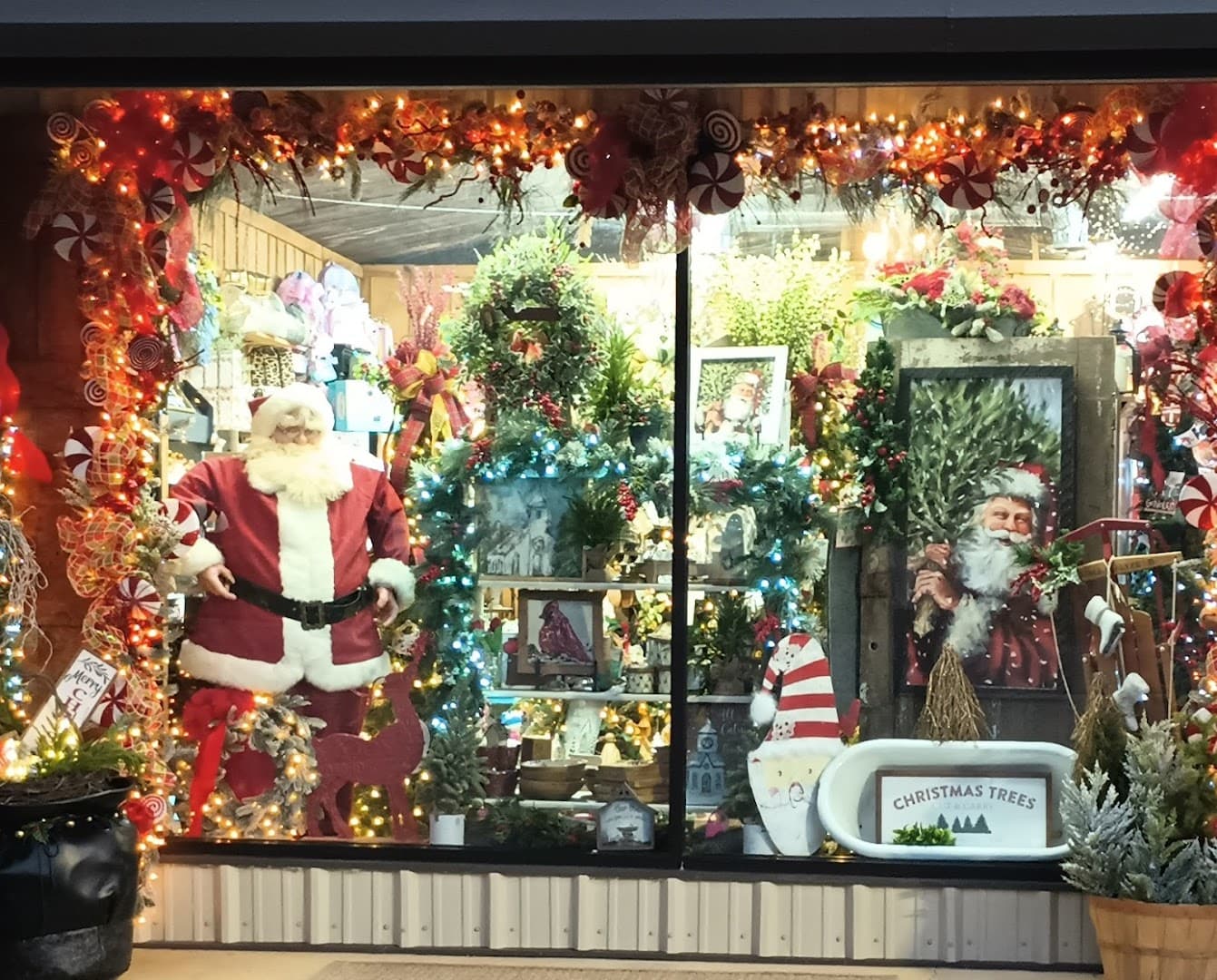 Diann's Florist and Gifts - Image 1