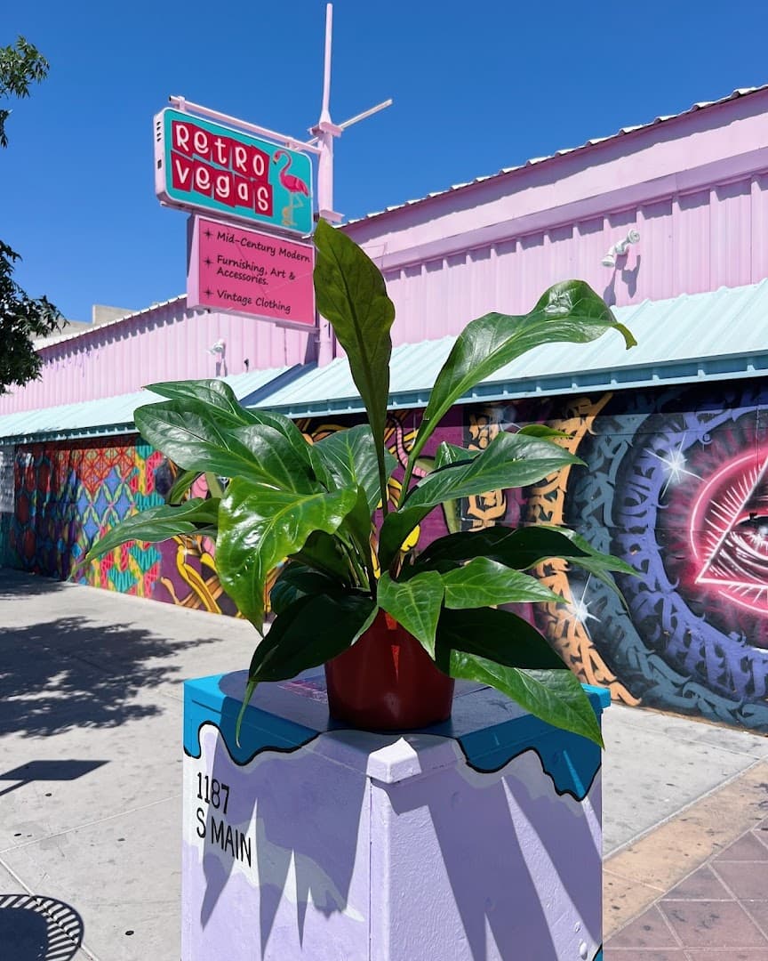 Gaia Flowers - Image 1