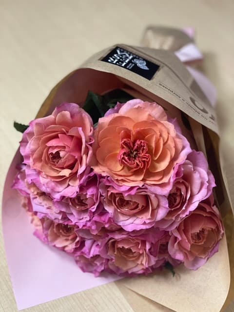 Freska Mariånas - Image 1