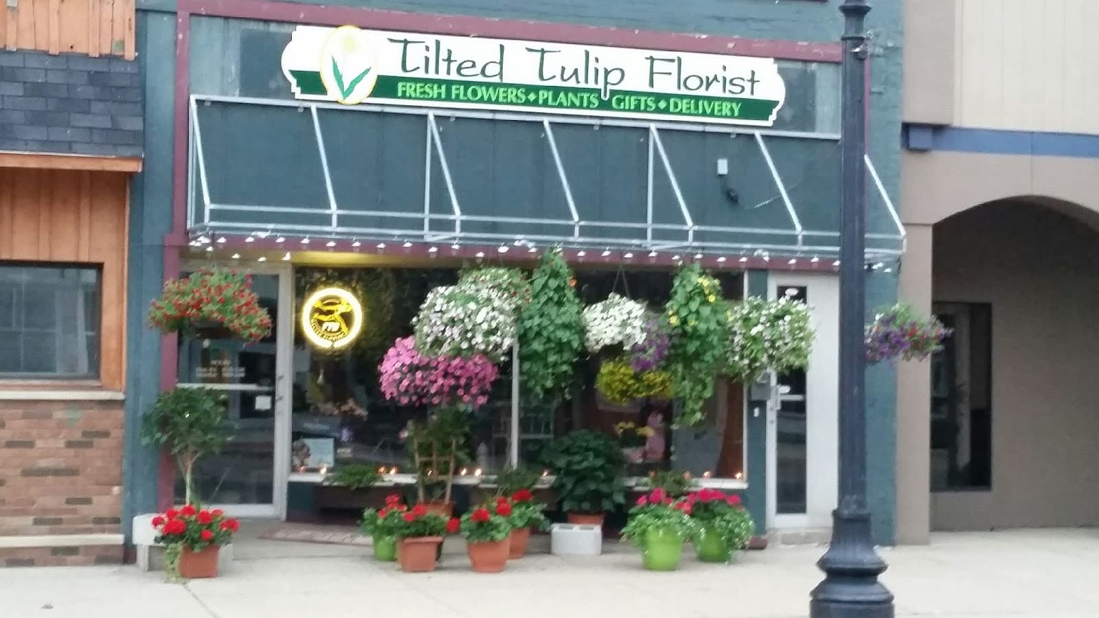 TILTED TULIP FLORIST - Image 1