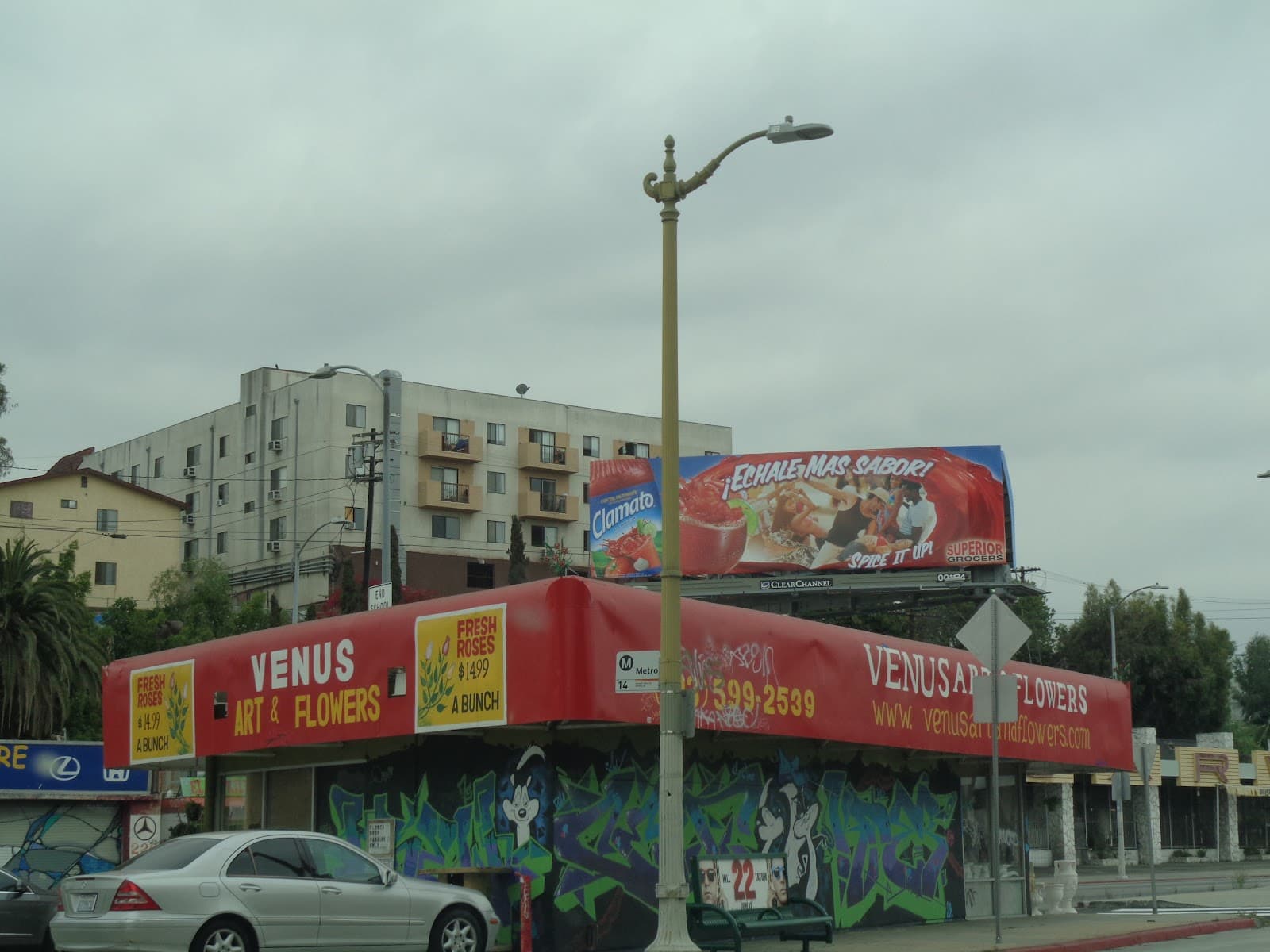 My Bella Flower - Image 1