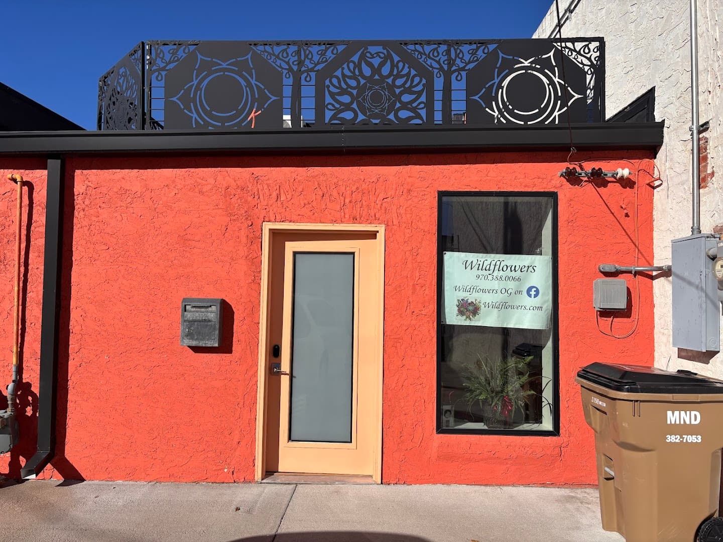 Wild Flowers OG - Image 1