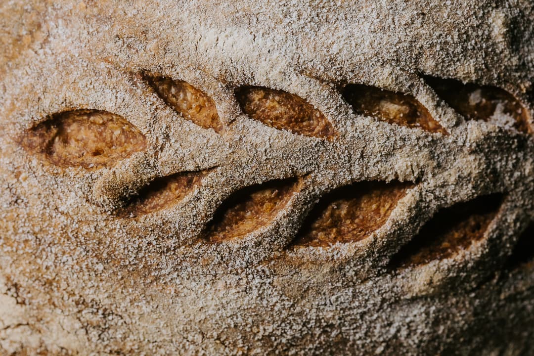 Foliage & Flour - Image 1
