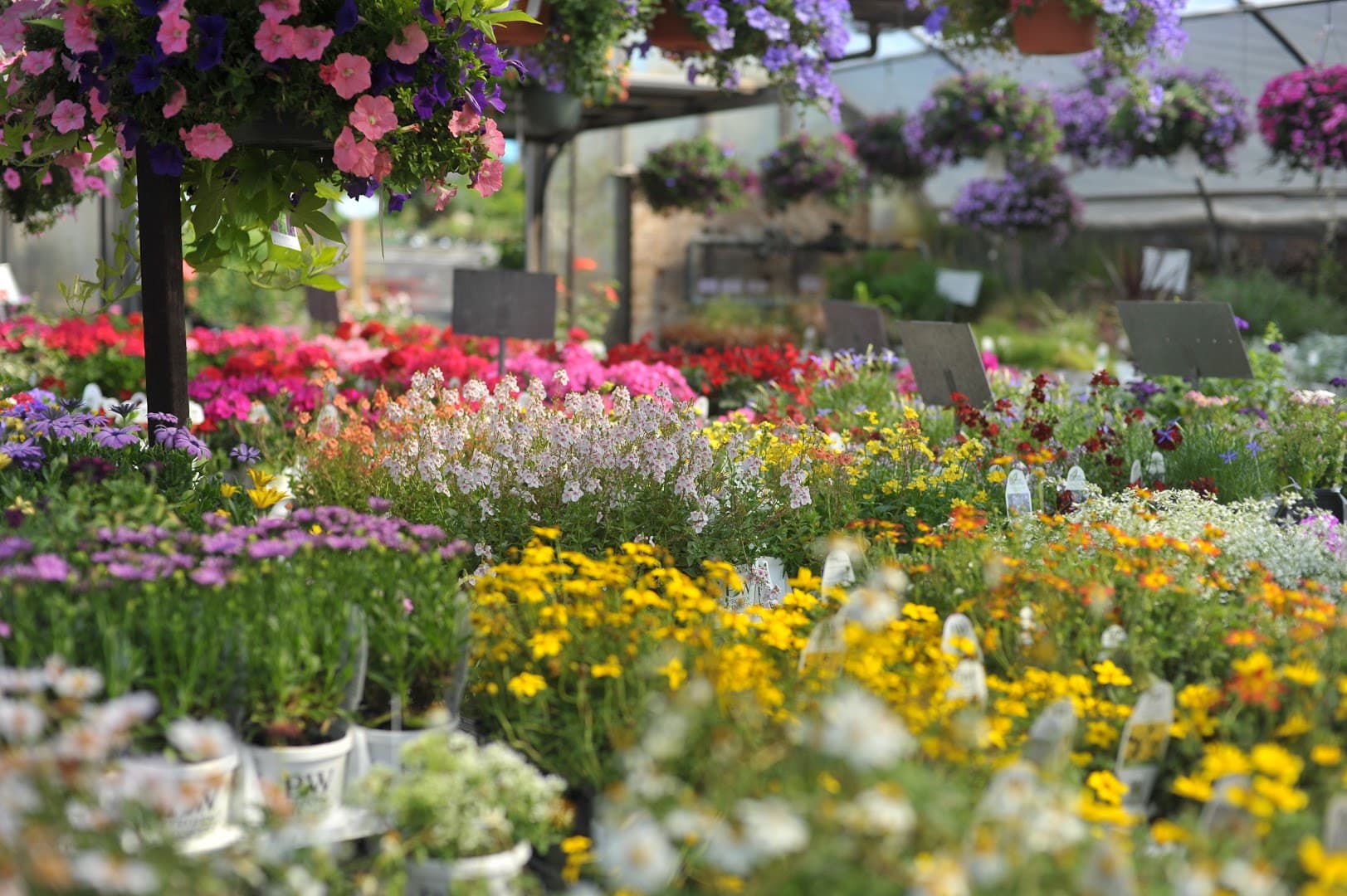 Kennedy's Country Gardens - Image 1