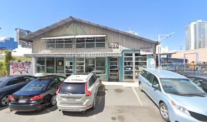 Island Roses & Succulent Plants - Image 1