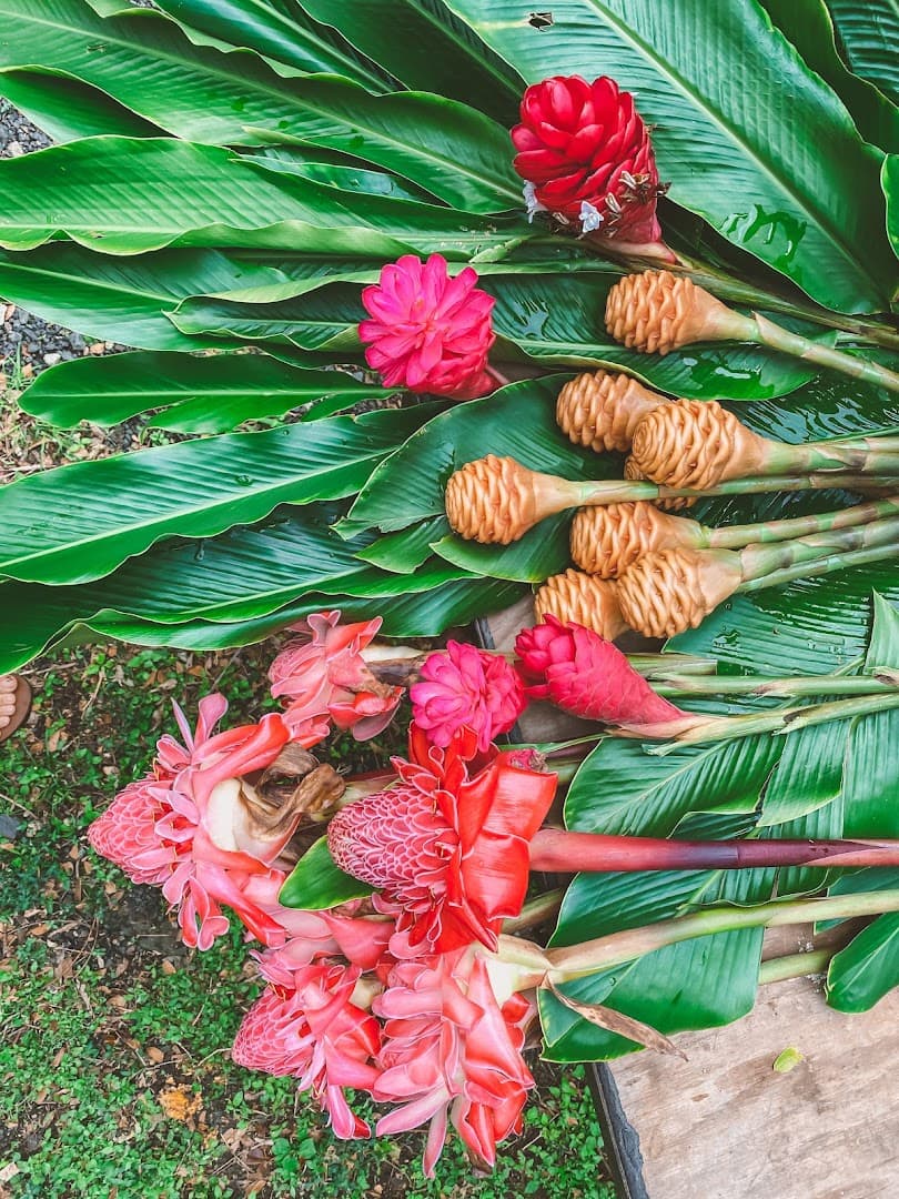 Cocolani Gardens - Image 1