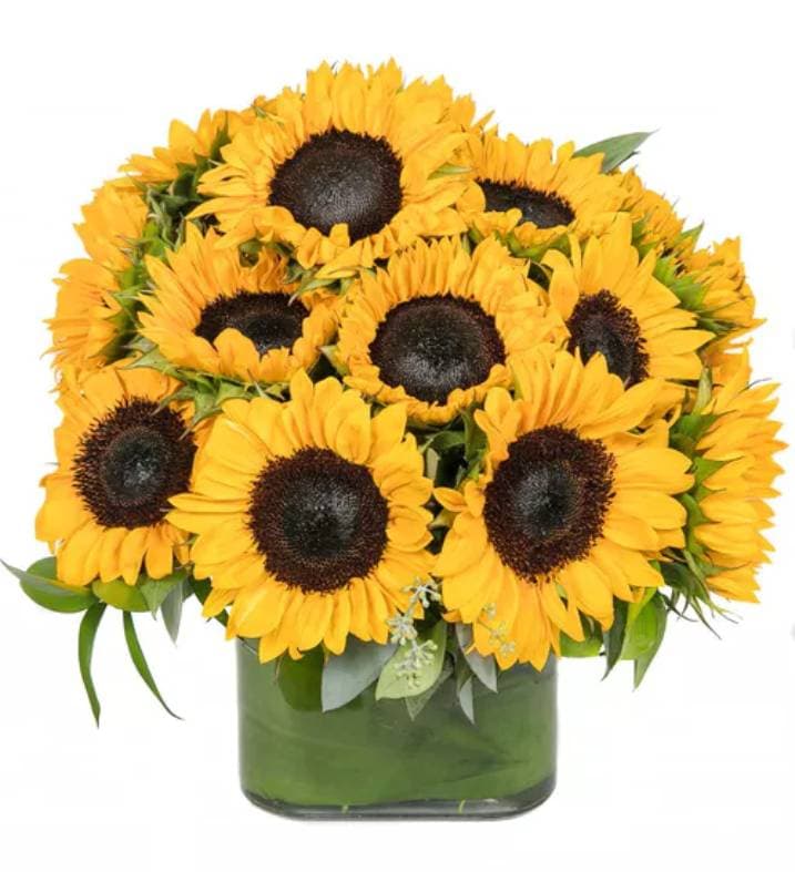 Flower Occasions - Image 1