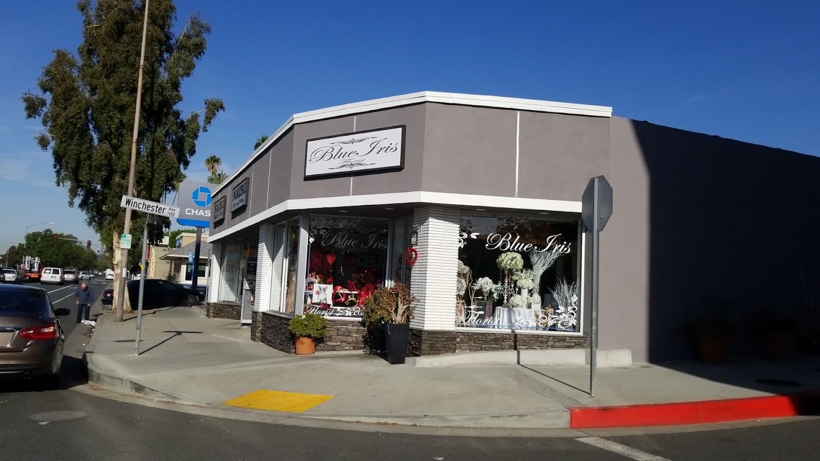 Blue Iris Florist - Image 1