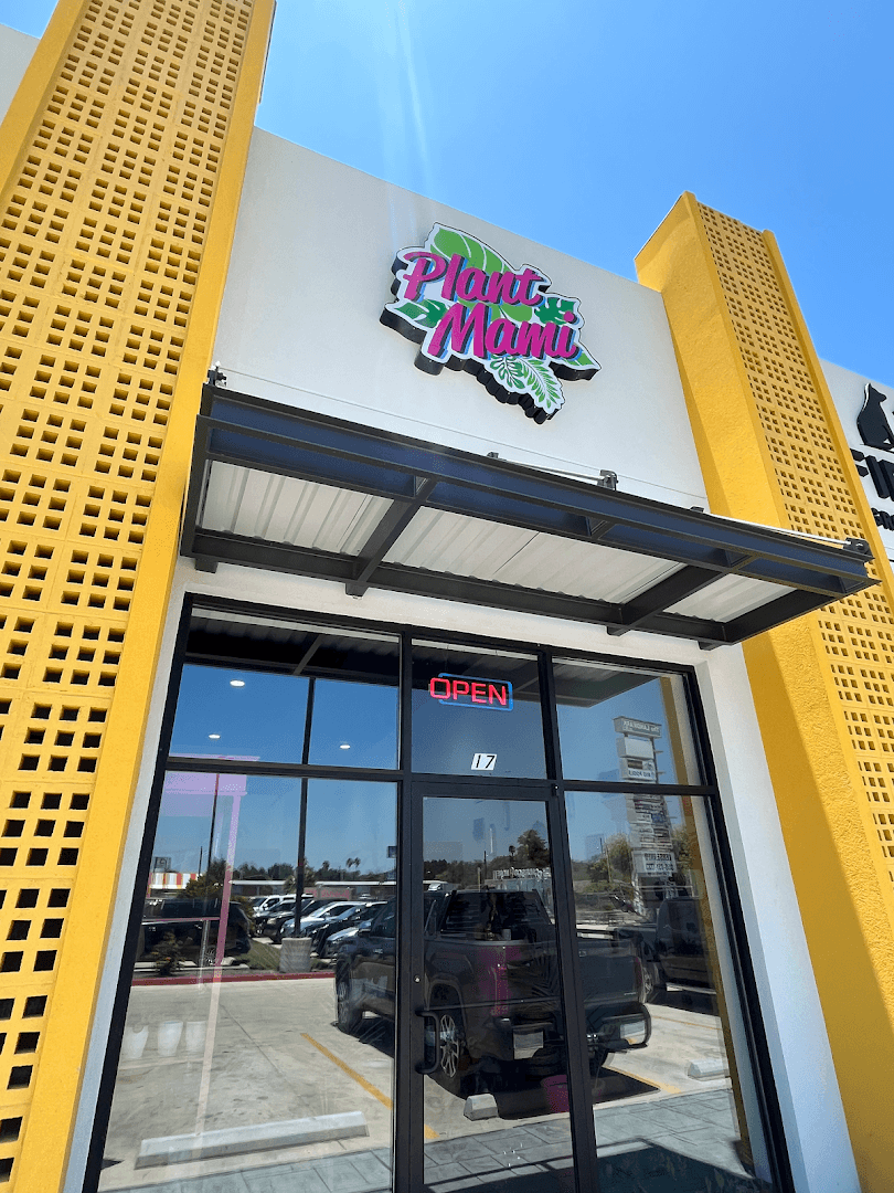 Plant Mami - Image 1