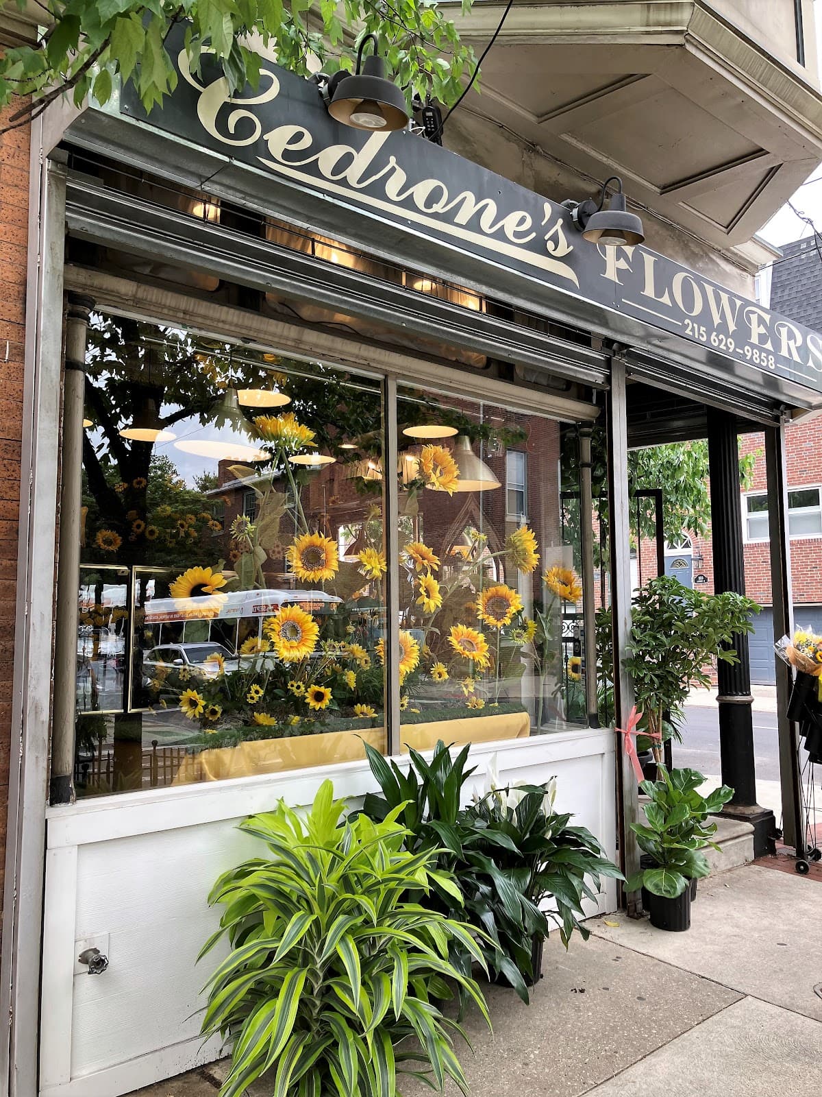 Cedrone's Flowers - Image 1