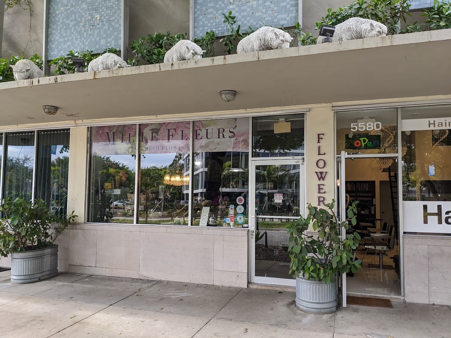 Mille Fleurs - Image 1