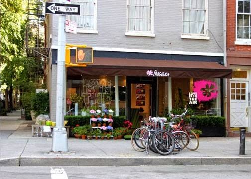 Angelica Flowers & Flowers on the Park - Image 1