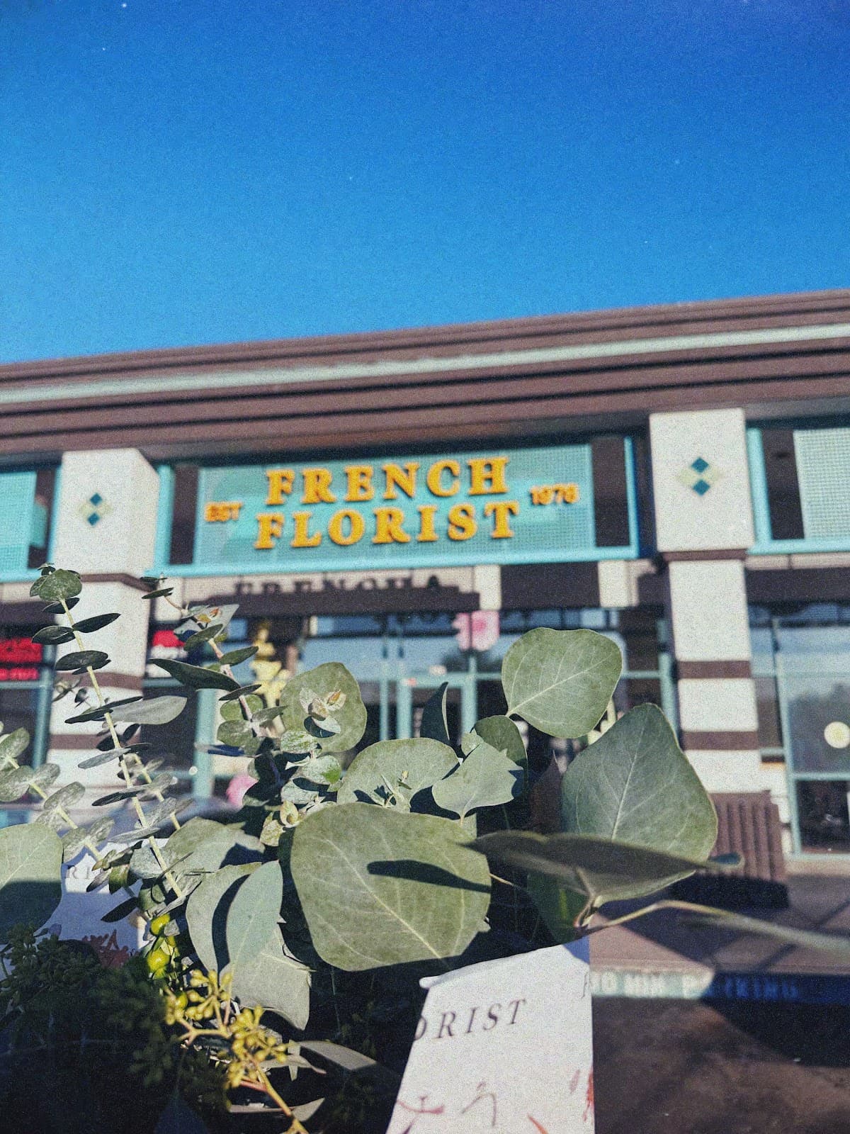 French Florist - Image 1