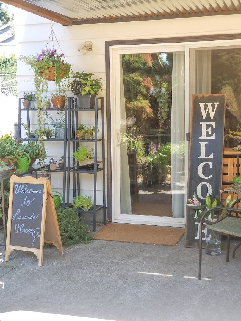 Lavande Bloom - Image 1