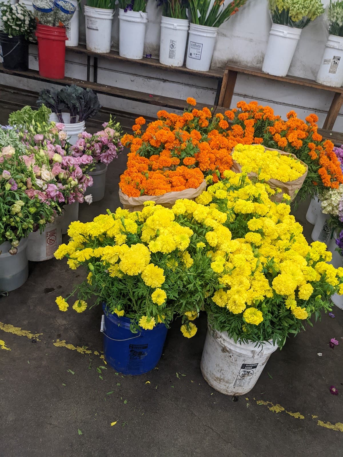 Willie Sanchez Wholesale Flowers - Image 1