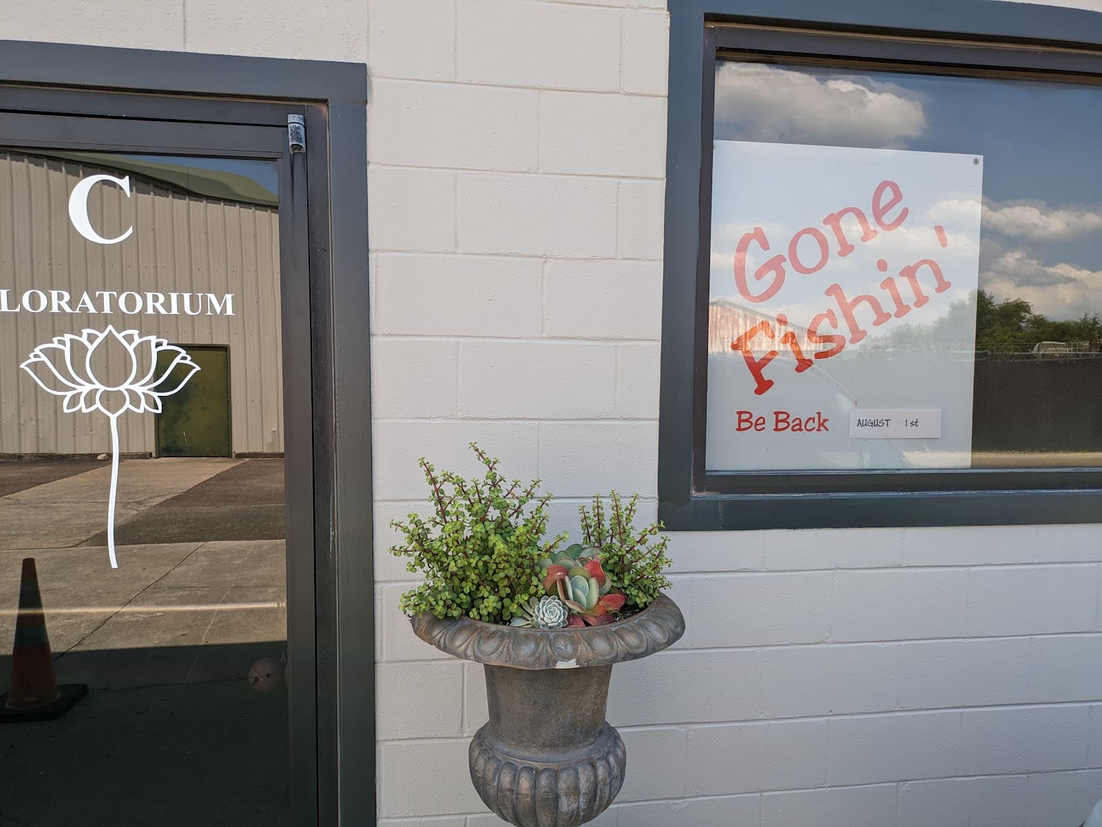 Lotus Flower - Image 1