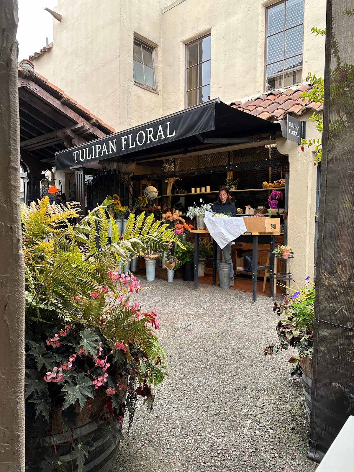 Tulipan Floral - Image 1