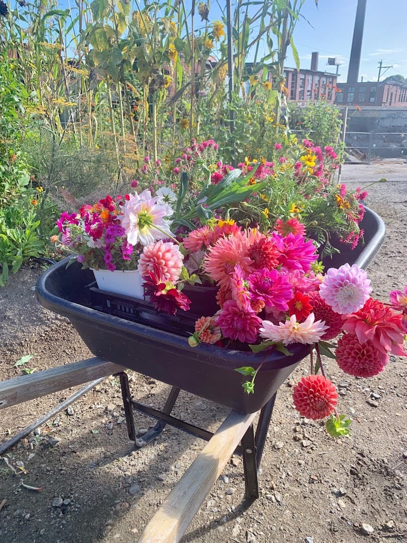 What Cheer Flower Farm - Image 1