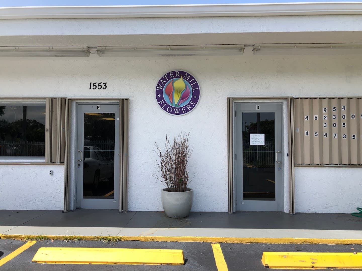 The Flower Bucket - Image 1