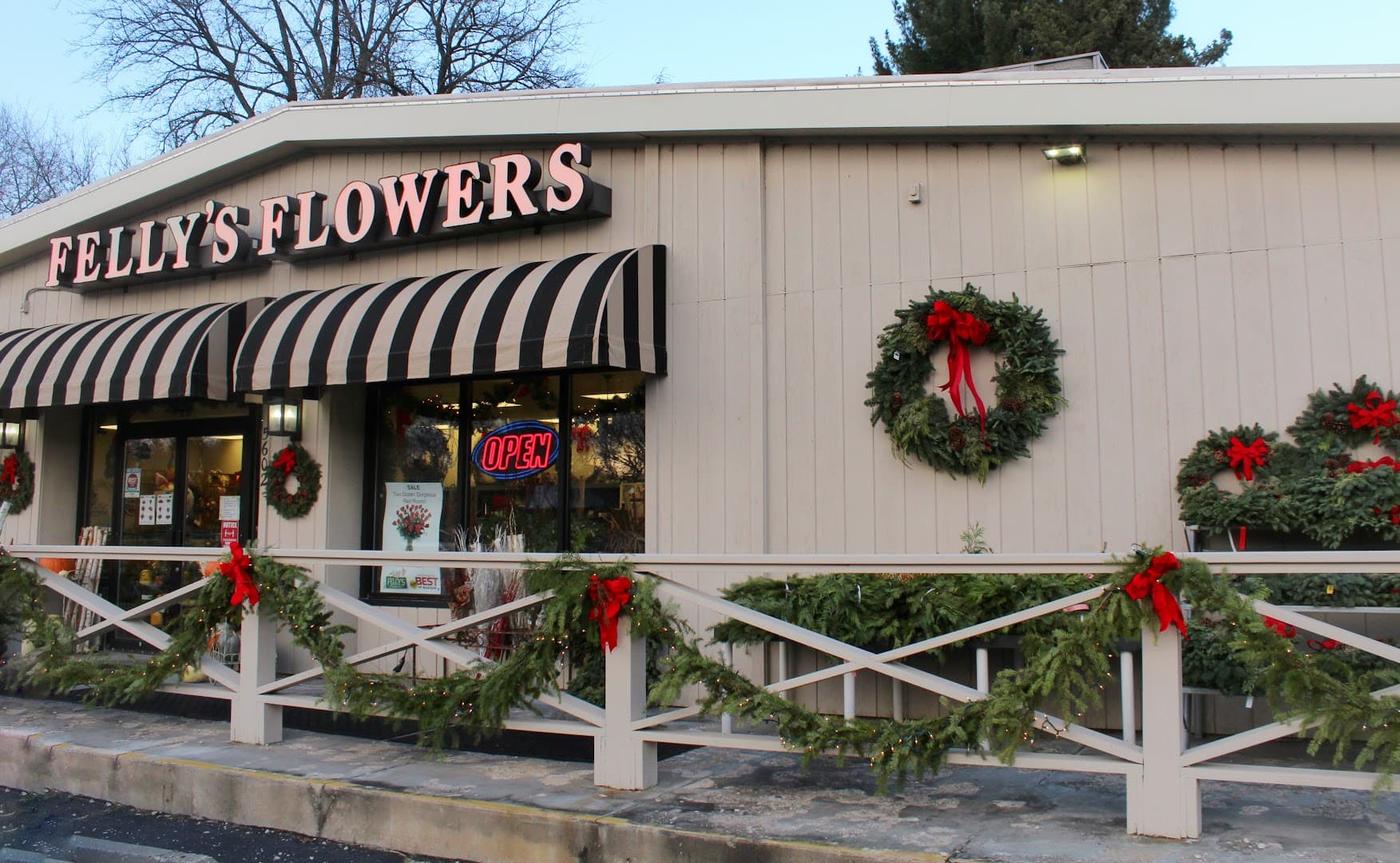 Felly's Flowers - Image 1