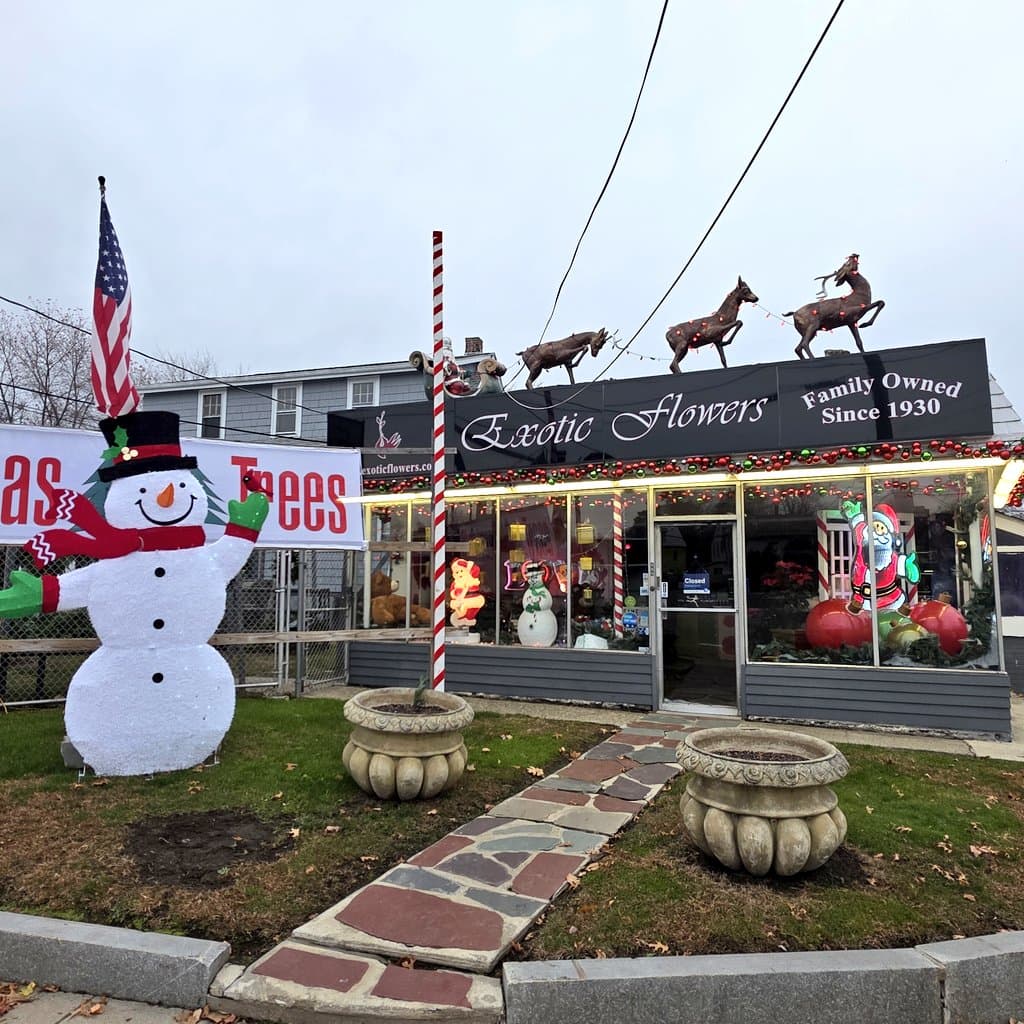 Exotic Flowers - Image 1